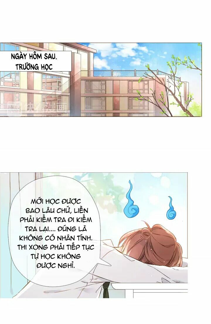 Tình yêu là màu hoa anh thảo chapter 23.2 44