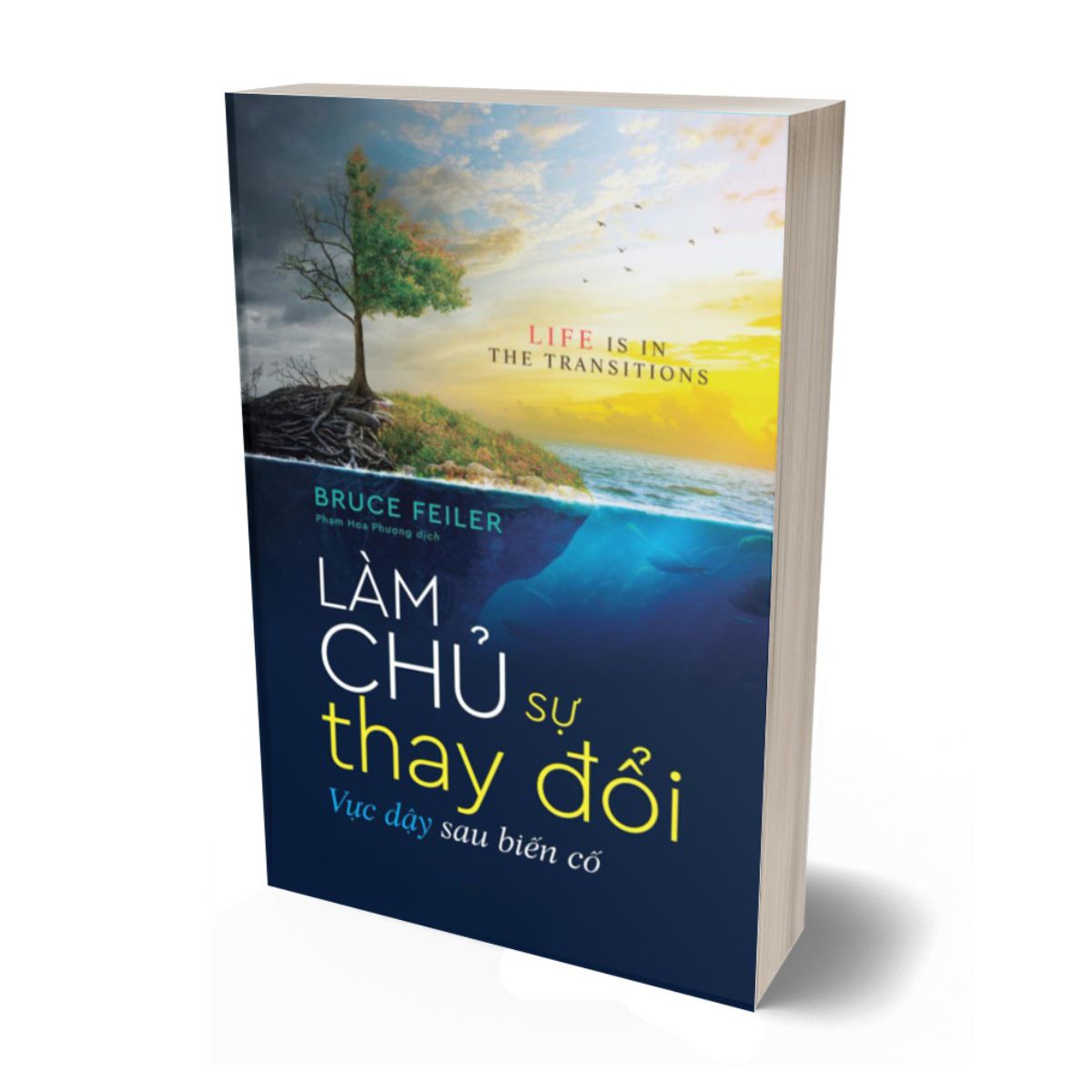 Làm Chủ Sự Thay Đổi - Vực Dậy Sau Biến Cố