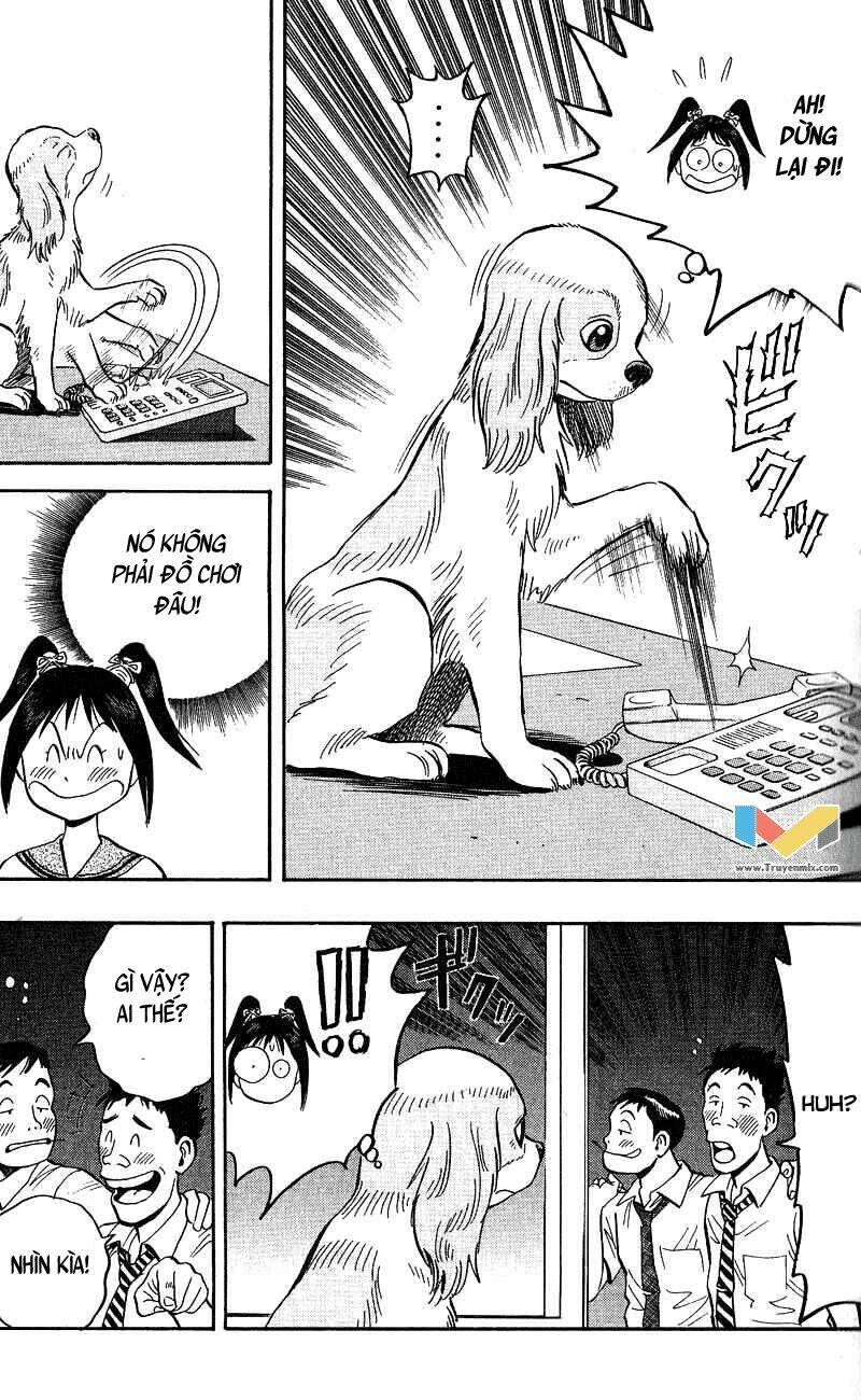 animal sense chapter 7 20