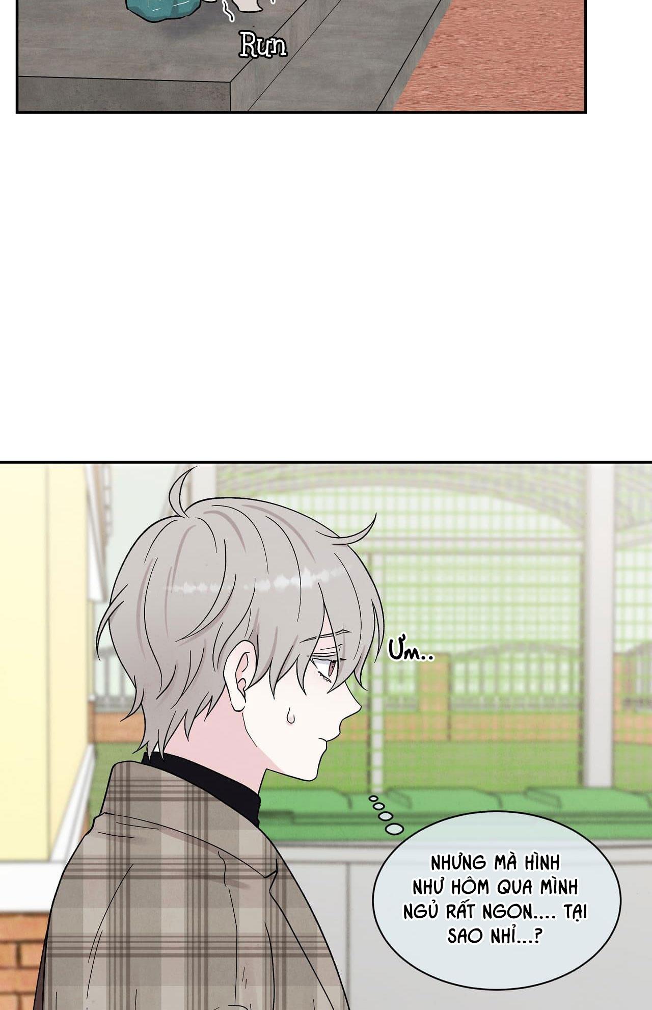 nếu không là định mệnh thì là gì? chapter 11 70