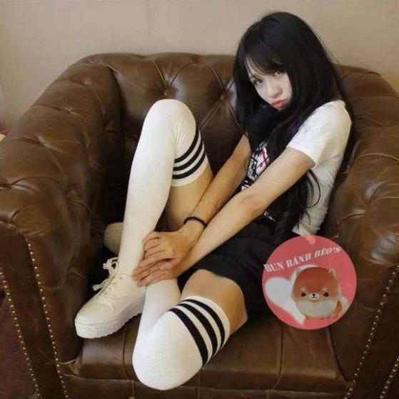 Tất đùi kẻ cổ Hàn Quốc