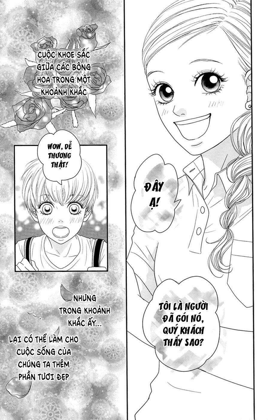 đóa hoa năm ấy chapter 4 64