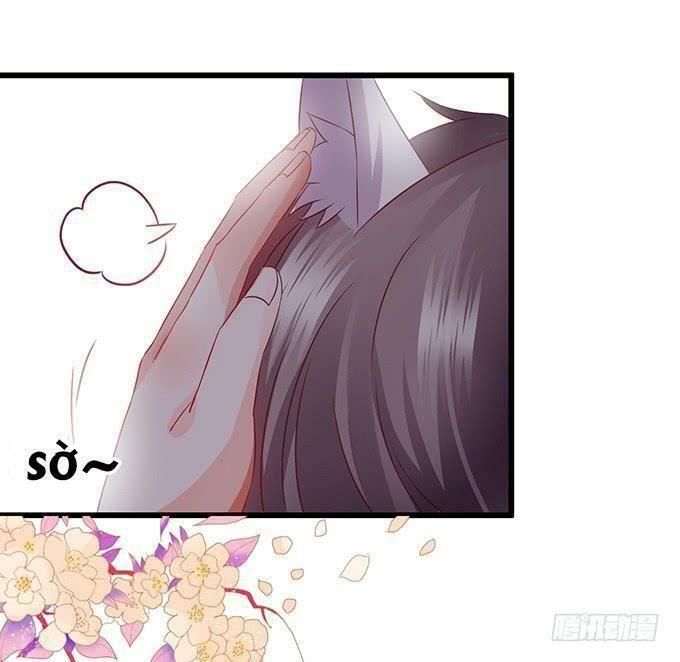 hồ tiên hung bạo chapter 24 27