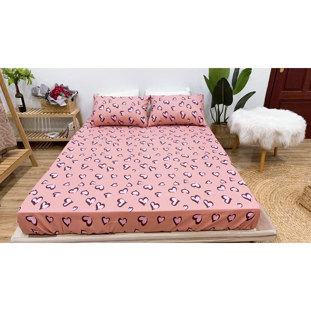 Set ga 3 món 1 ga chun và 2 vỏ gối các kích thước