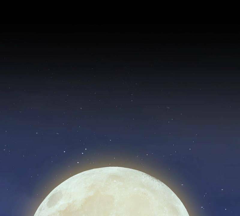 bản kiếm tiên tuyệt không làm nô chapter 12.5 31