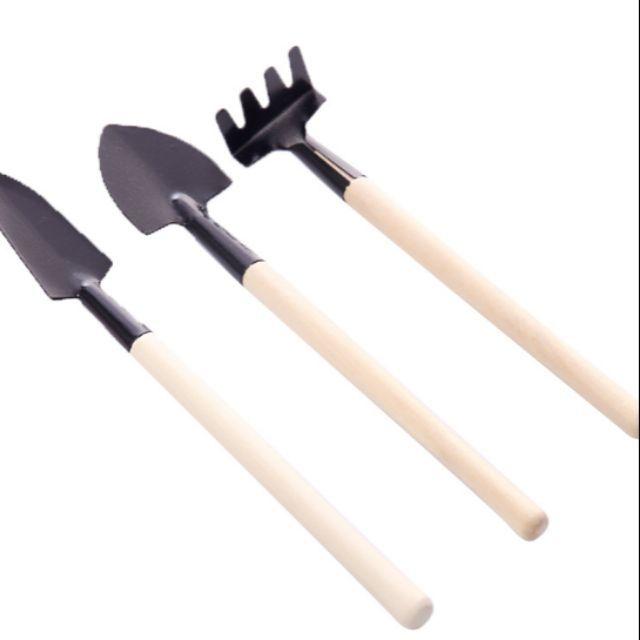 20 bộ chăm sóc cây cảnh mini