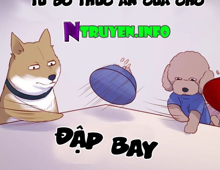 lượm được một tiểu hồ ly phần 1 chapter 78 27