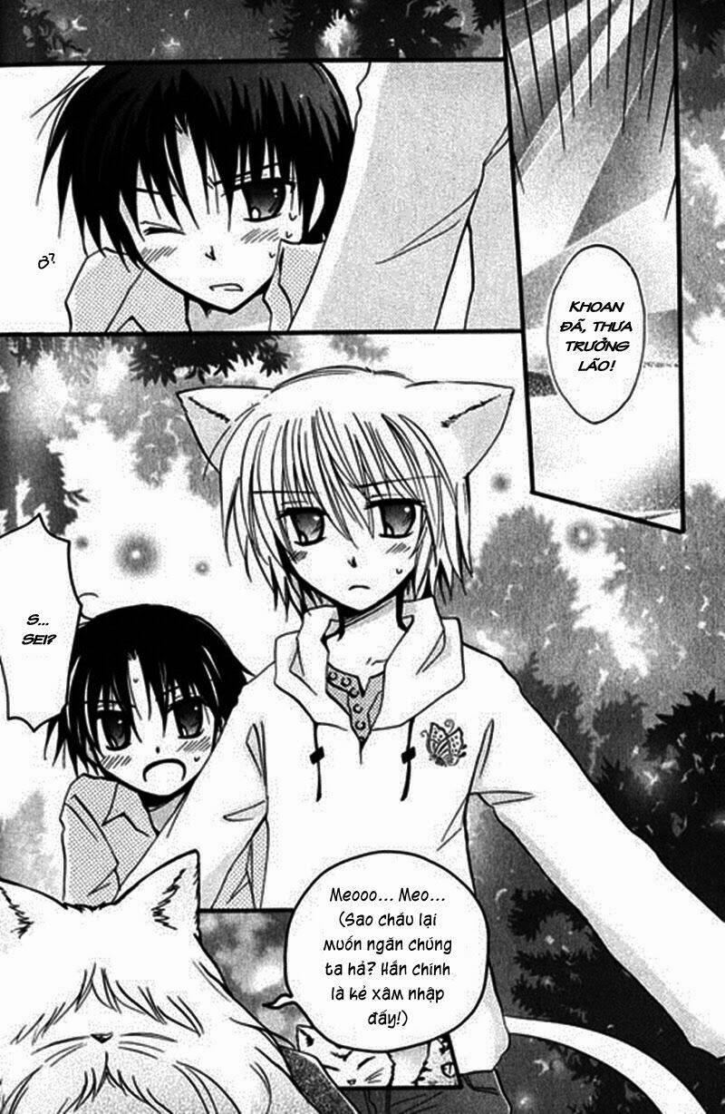 boku x neko? chapter 3.2 9