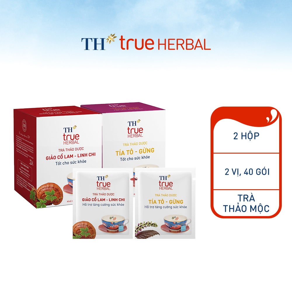 Bộ 2 hộp Trà thảo dược Giảo cổ lam – Linh chi &amp; Trà Tía tô – Gừng TH True Herbal (40 gói)