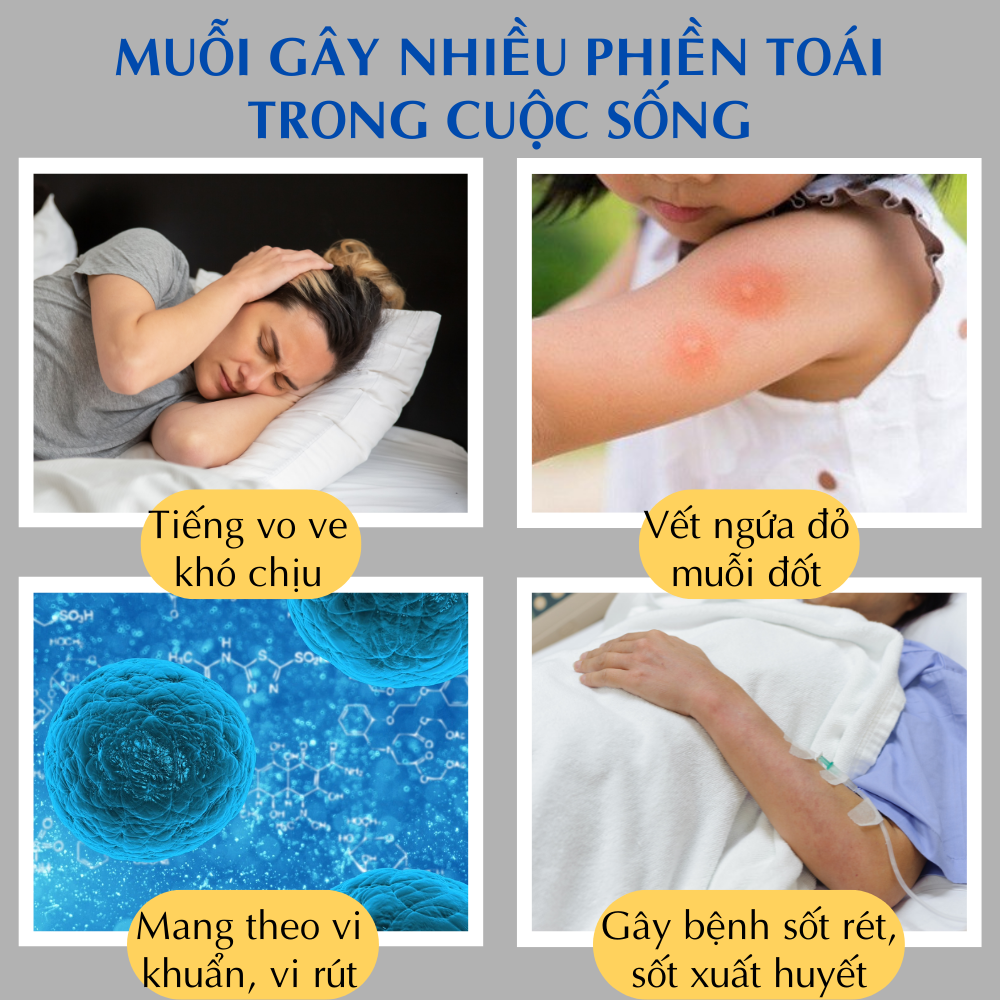 Máy đuổi muỗi bằng tinh dầu BOORUI 05, Thiết kế thông minh hẹn giờ ,khuếch tán nhanh lưu thông không khí , đuổi muỗi hiệu quả an toàn với trẻ nhỏ, chống rò rỉ, tặng kèm tinh dầu đuổi muỗi