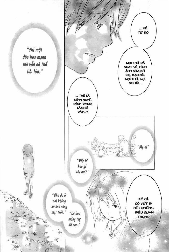 impatiens chapter 1 24