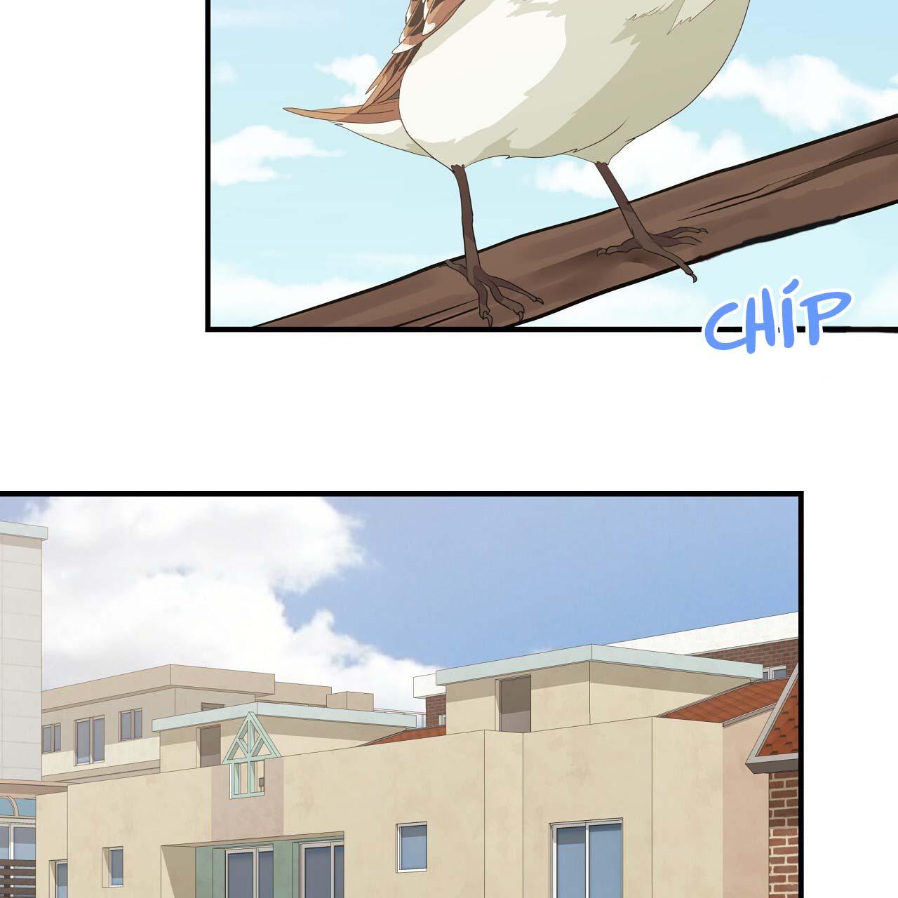 đứa trẻ này là con tôi (end) chapter 44 8