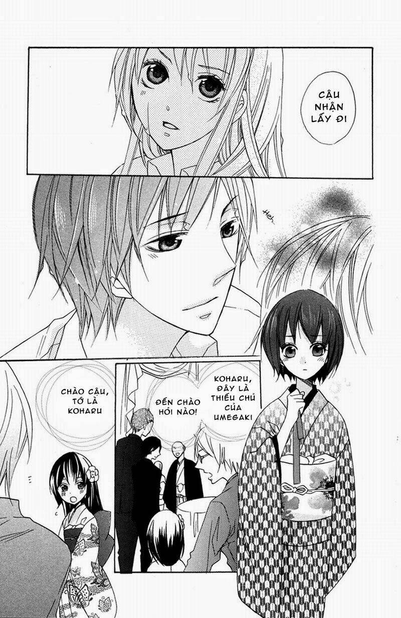 hoa hồng hoang dã chapter 4 34