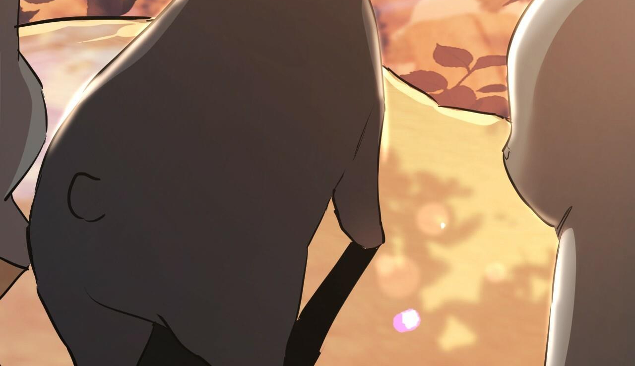 đàn thỏ của habibi chapter 48 301