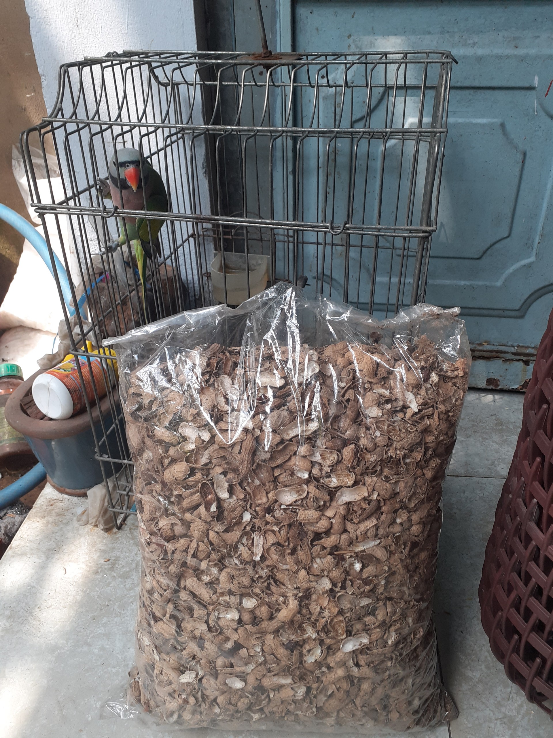 Vỏ đậu phộng bịch nửa ký