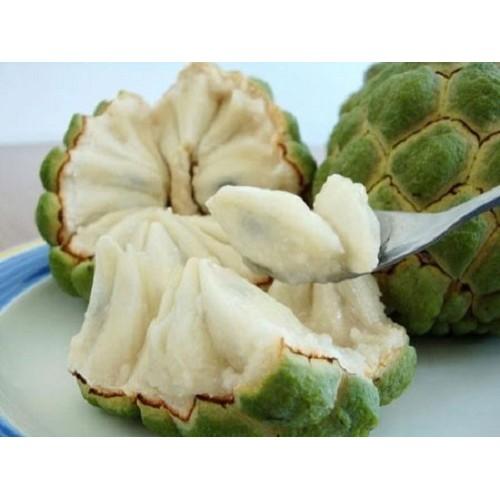 CÂY GIỐNG NA THÁI LAN SIÊU NGON, SIÊU KINH TẾ