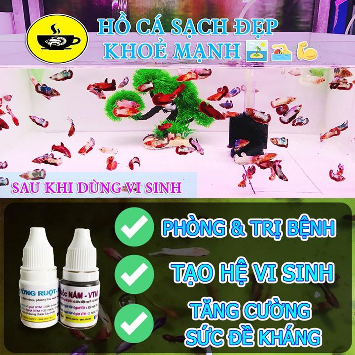 Bẫy Ốc Gây Hại Hồ Thuỷ Sinh -