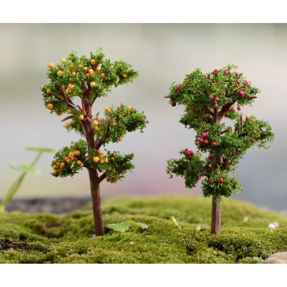 Mô hình cây cam vàng để trang trí tiểu cảnh, bonsai, DIY