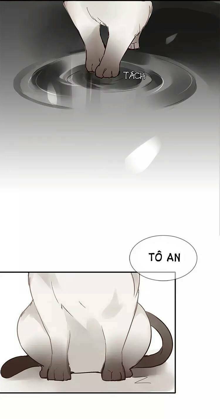 nghe thấy thời gian rung động chapter 2 21