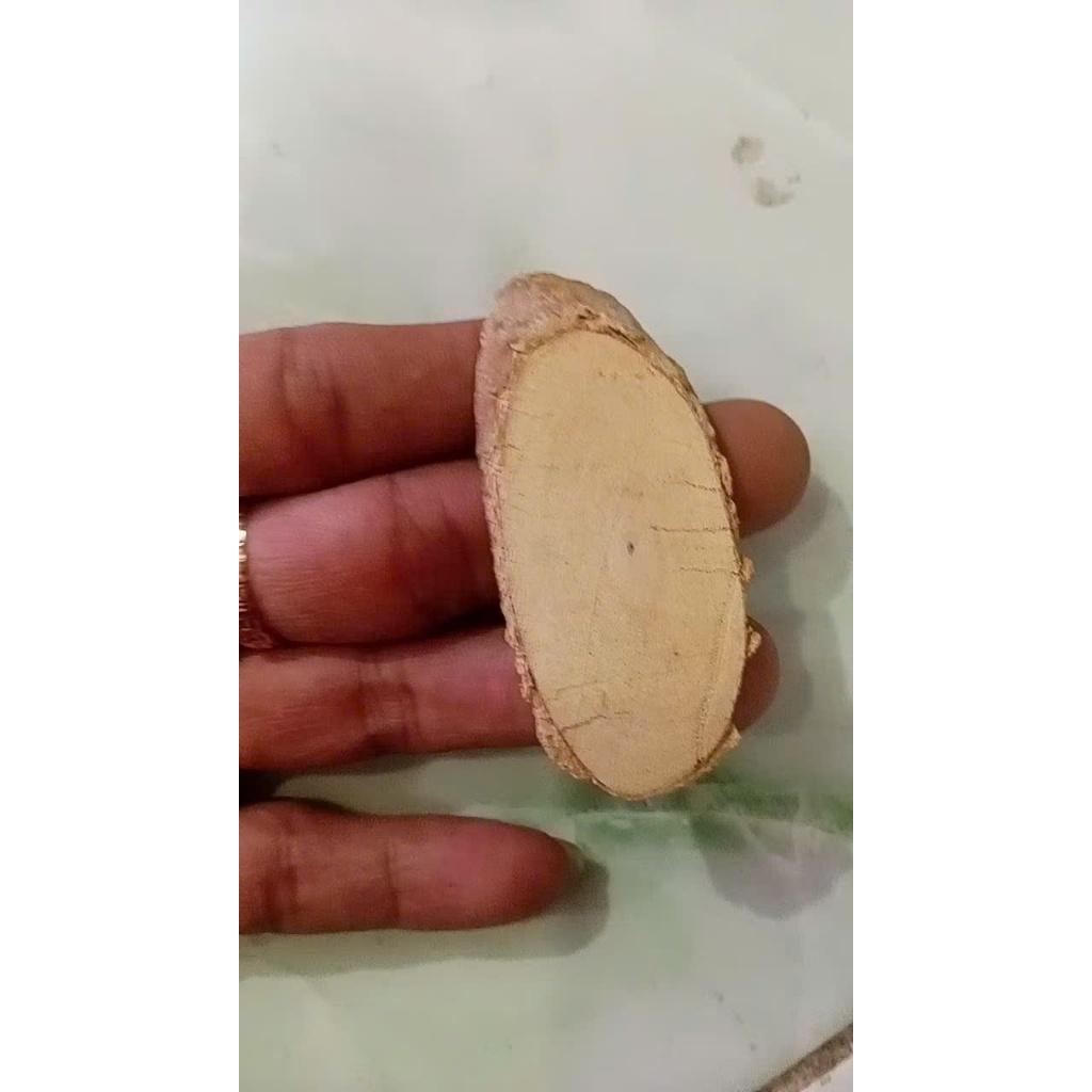 cây b1 phơi khô thái lát sạch