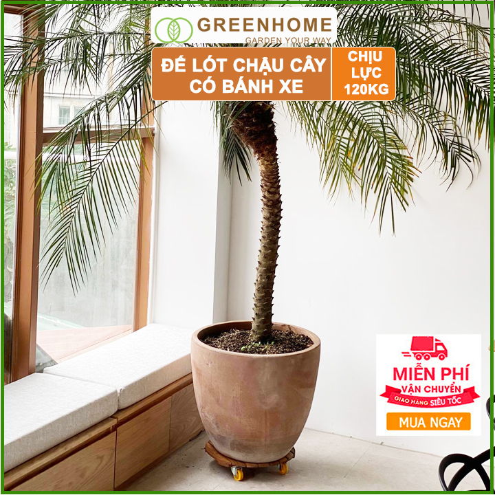 Đế lót chậu bằng gỗ Greenhome có bánh xe Tròn R30cm chịu lực 120kg