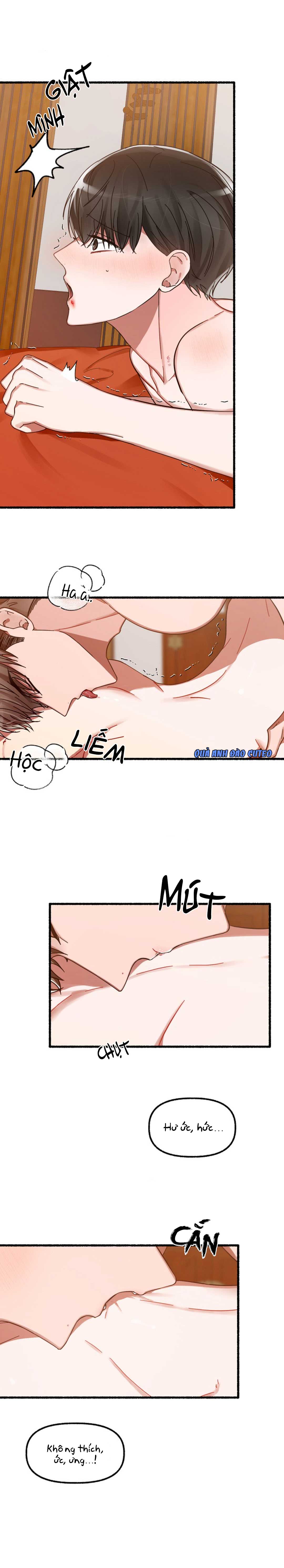 hoa triều chapter 12 8