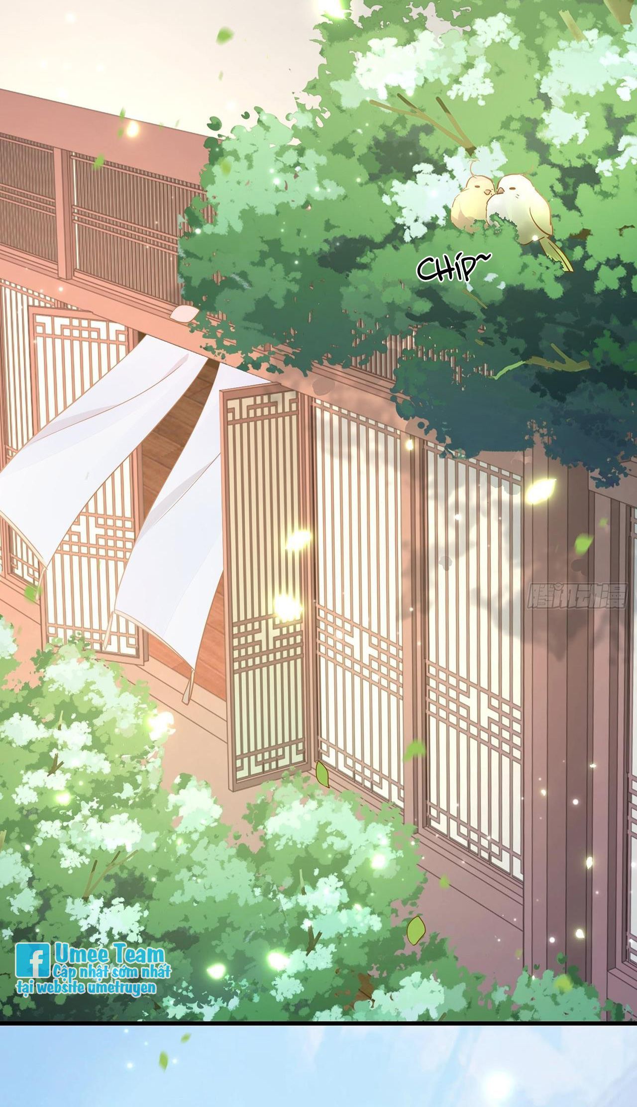 lục thân bất nhận chapter 85 4