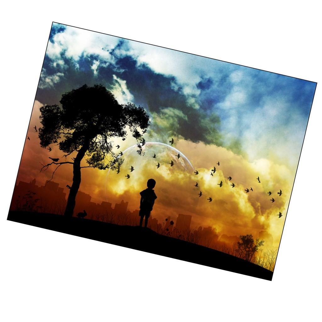 DIY 5D Diamond Painting Kit for adults Embroidery Animal Cross Stitch Kit Art Home Decor