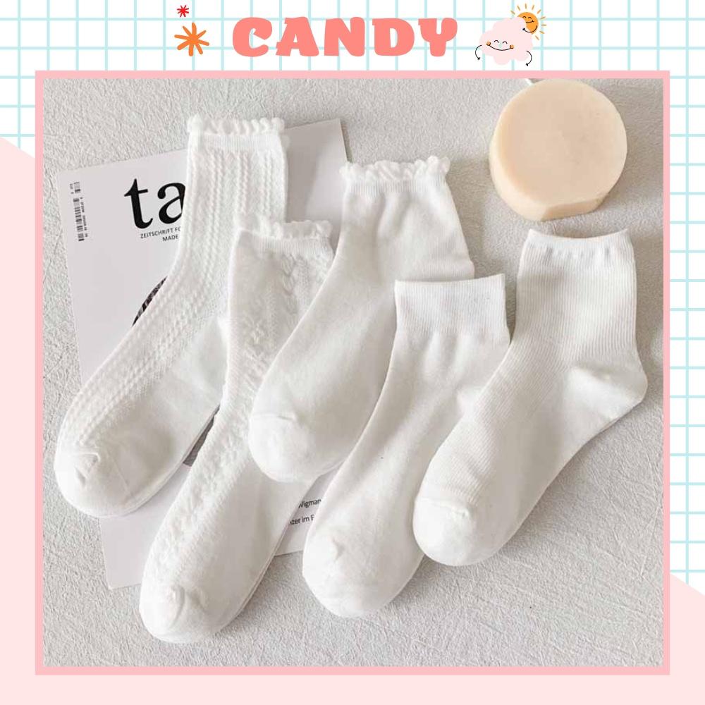 Tất nữ vớ nữ cổ trung, Set 5 đôi tất nữ phong cách Hàn Quốc, co dãn 4 chiều, chất liệu cotton Hàn cao cấp TN-169