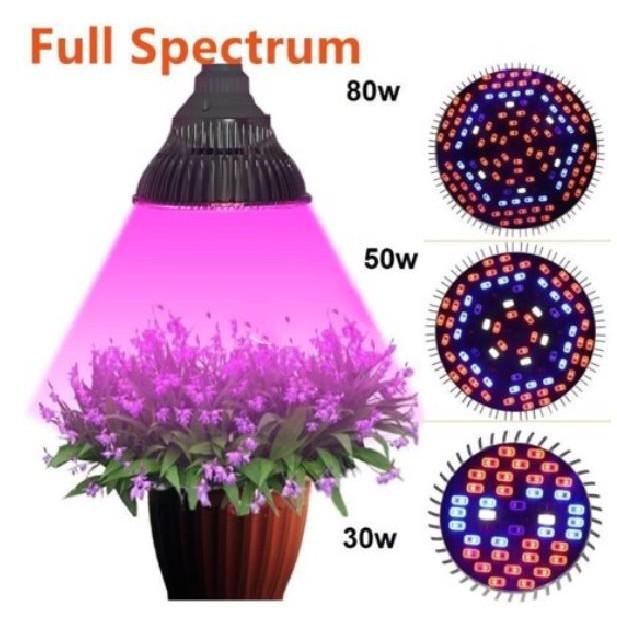Led trồng cây Skylife