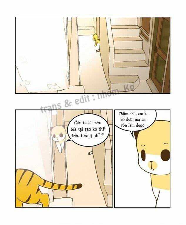 papi nyang chapter 15 1