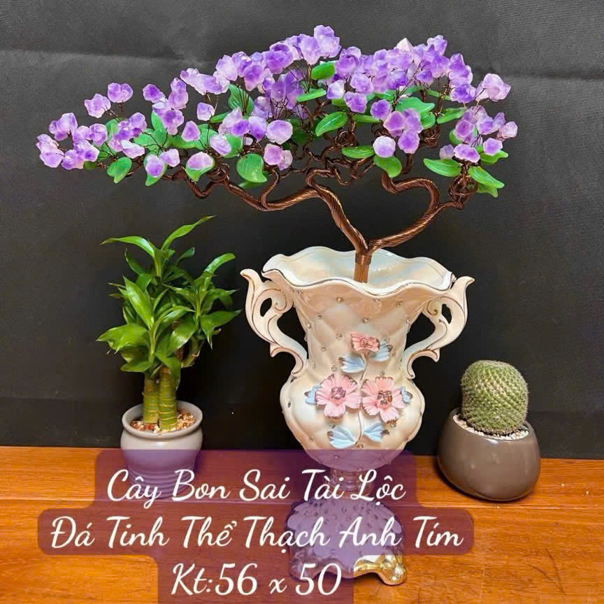 Cây Tài Lộc Thạch Anh Tím – Mầm Tinh Thể Tự Nhiên – Chậu Gốm Sứ Cao Cấp – Size 56×50 / 43×43