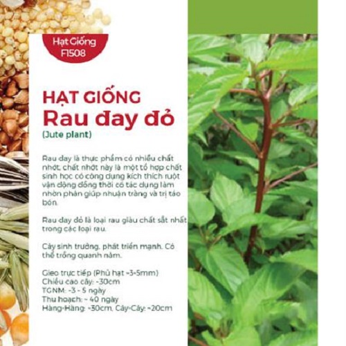 Hạt Giống Rau Đay Đỏ (10gr)