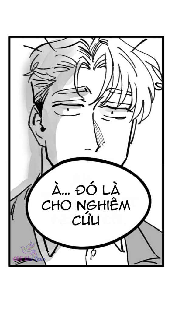 papa ai chapter 6 17