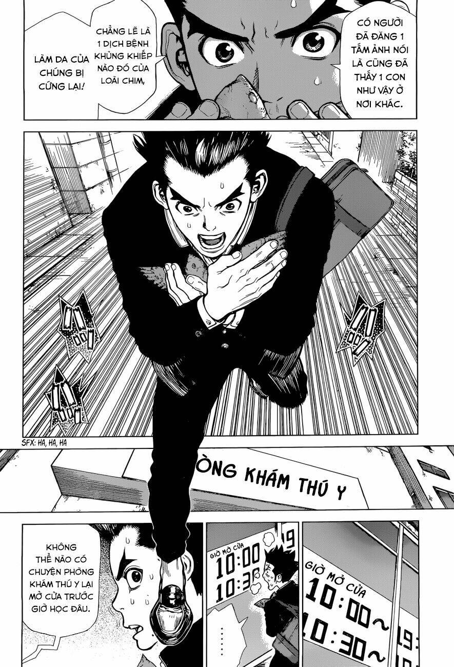 dr.stone - hồi sinh thế giới chapter 1 22