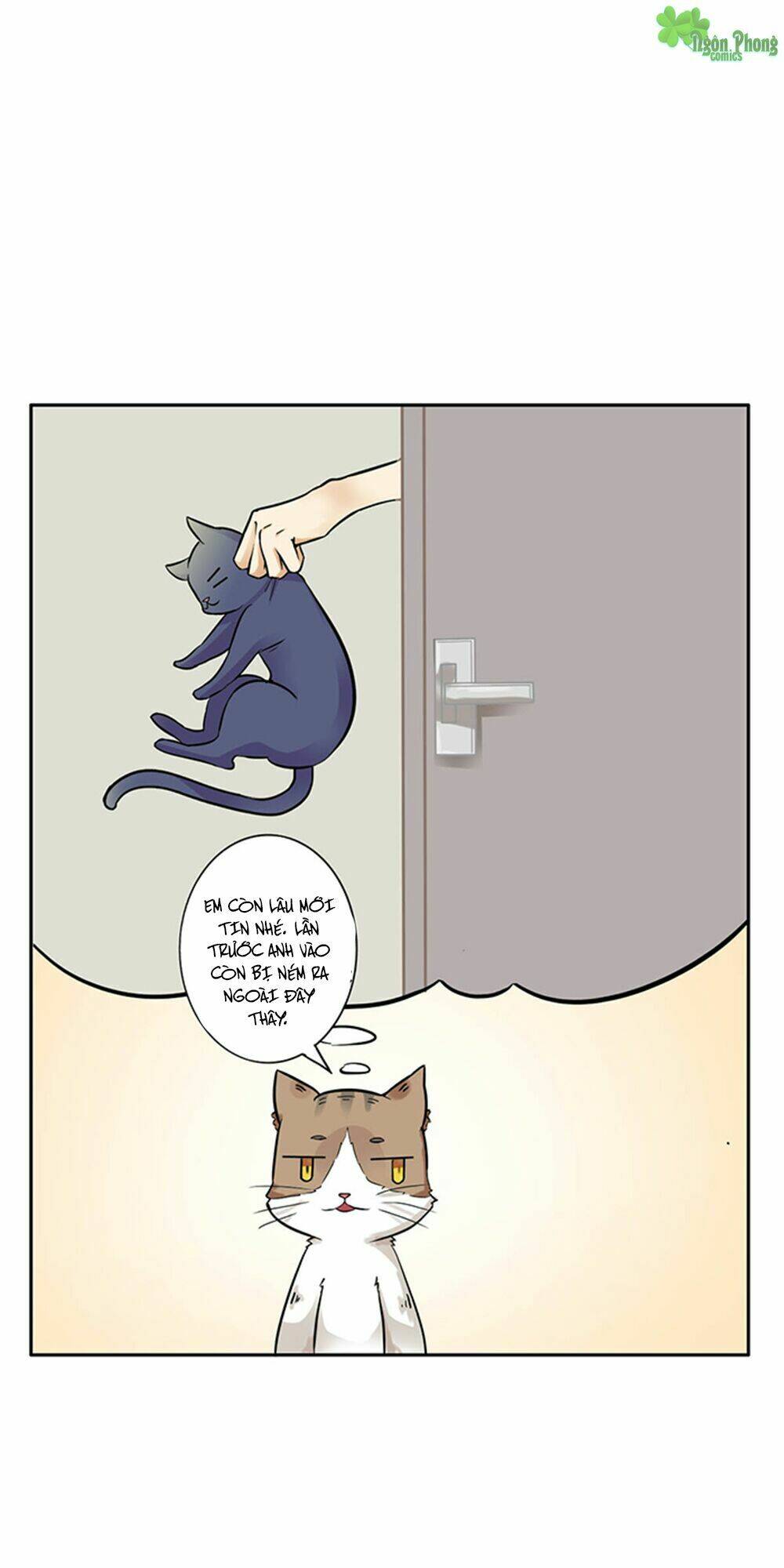 hai chú mèo totem chapter 6 8