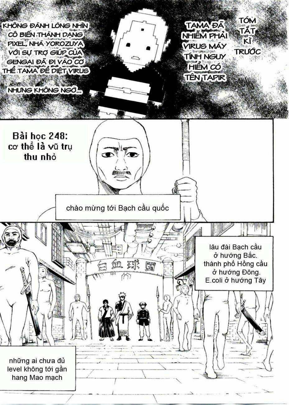 gintama - linh hồn bạc chapter 248 3