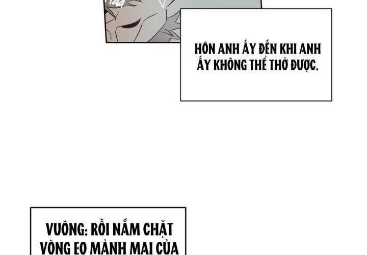 guide cấp b chapter 36 16