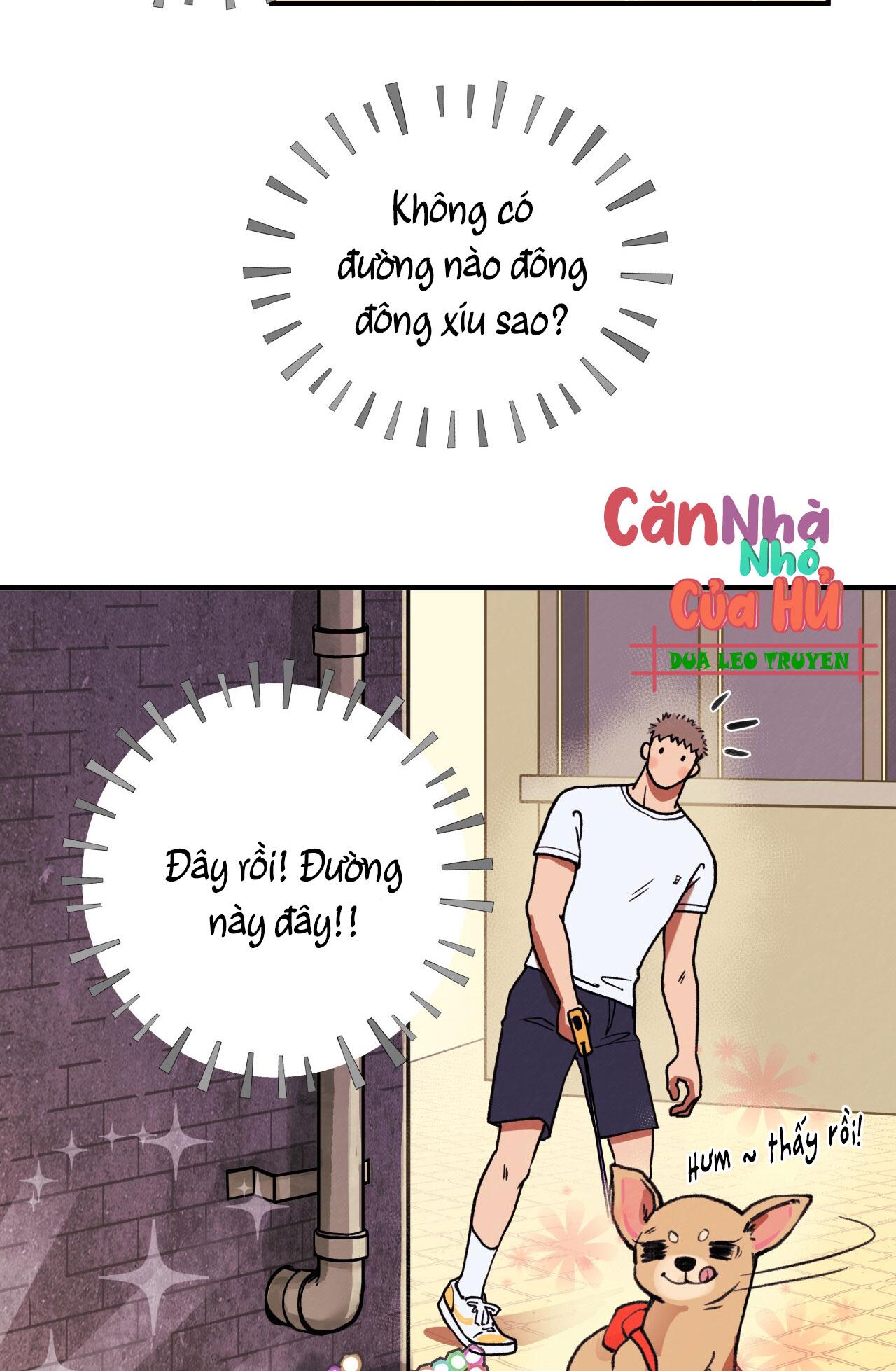 mật gấu chapter 1 12