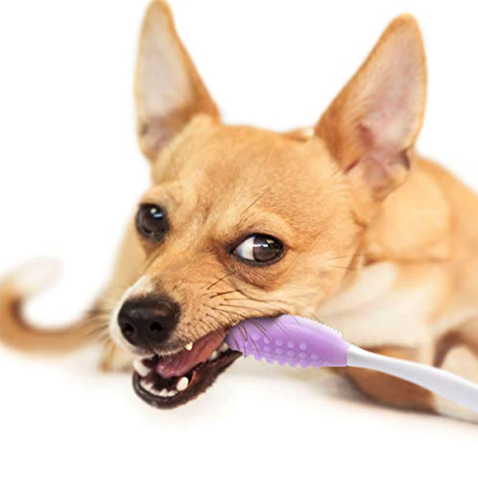 Bàn chải đánh răng chó, chó đánh răng cho chó chăm sóc răng, bàn chải đánh răng đôi silicone cho chó, chó nhỏ, mèo