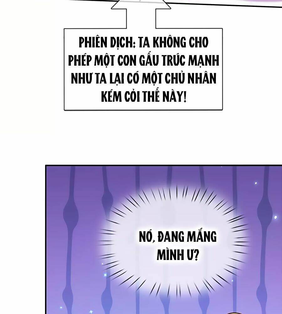 bỗng một ngày trở thành con gái nhà vua chapter 202 18