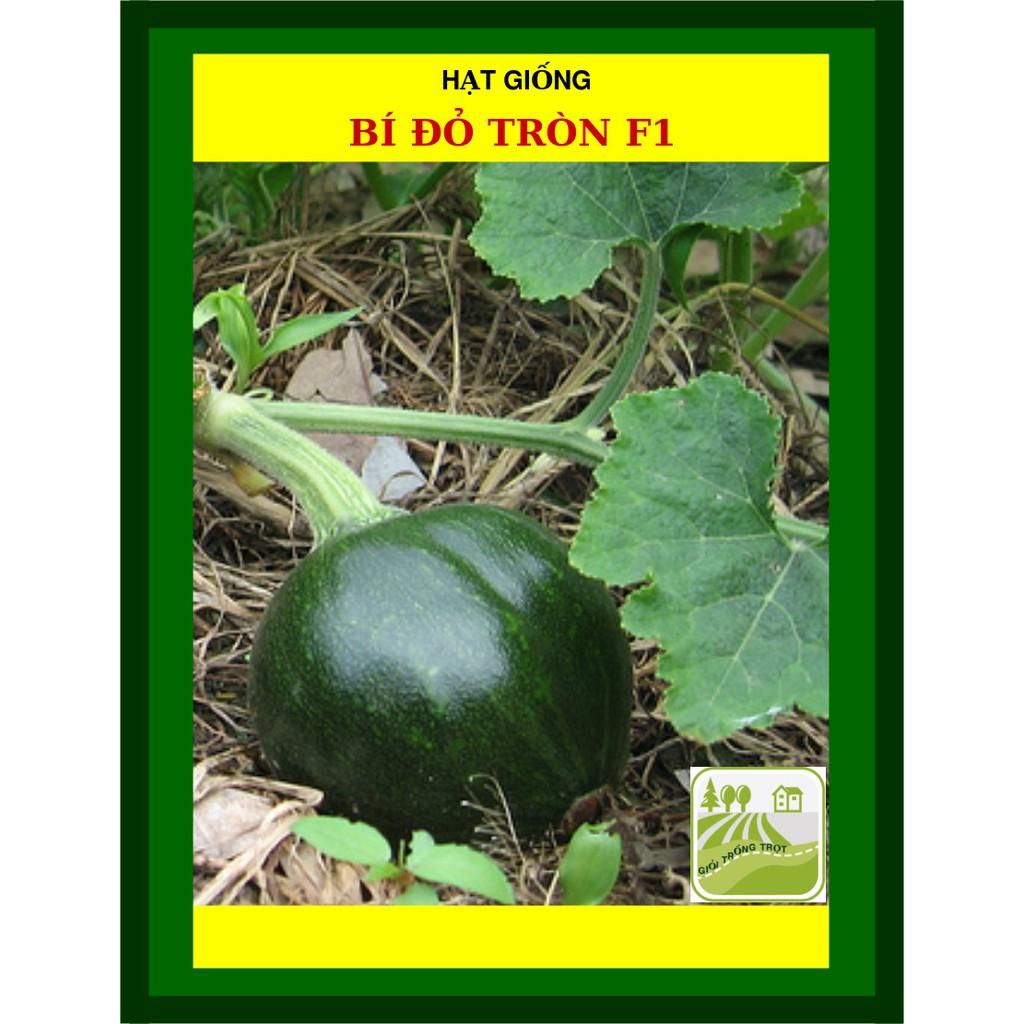 Hạt Giống Bí Đỏ Tròn F1 2gram