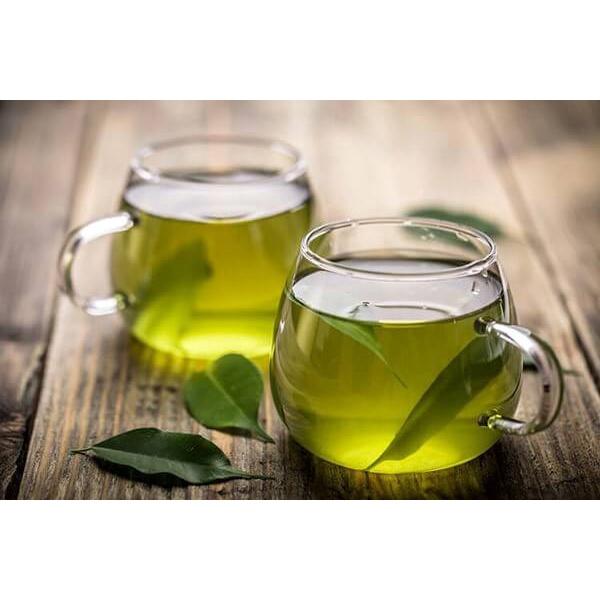 Cây vối nếp thơm có thể trồng chậu