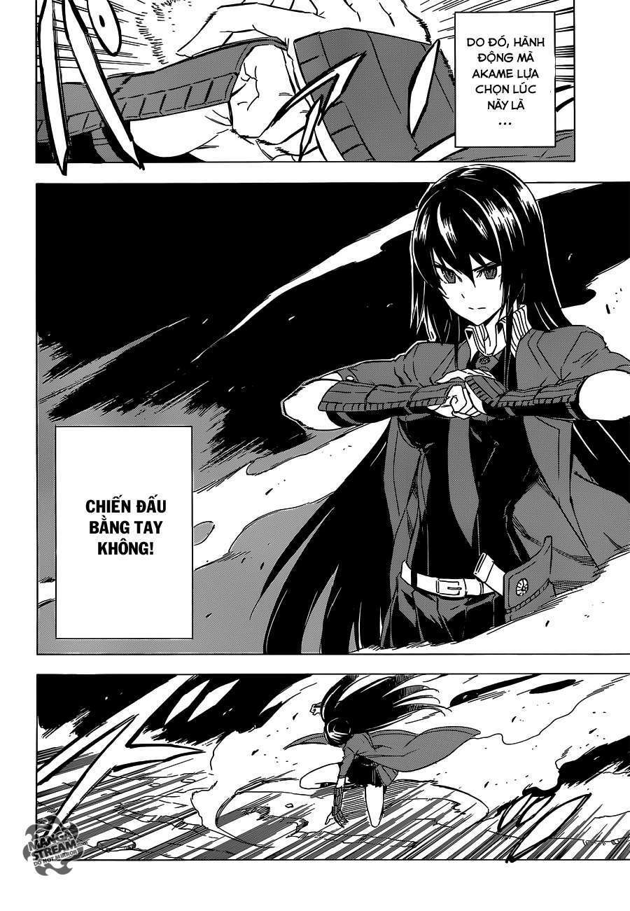 akame ga kiru! chapter 59.1 13