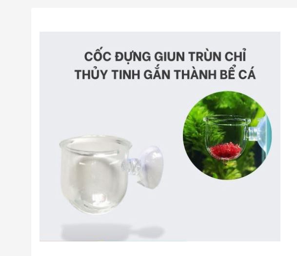 Cốc đựng giun,trùn chỉ thủy tinh cho hồ cá kèm hít kính