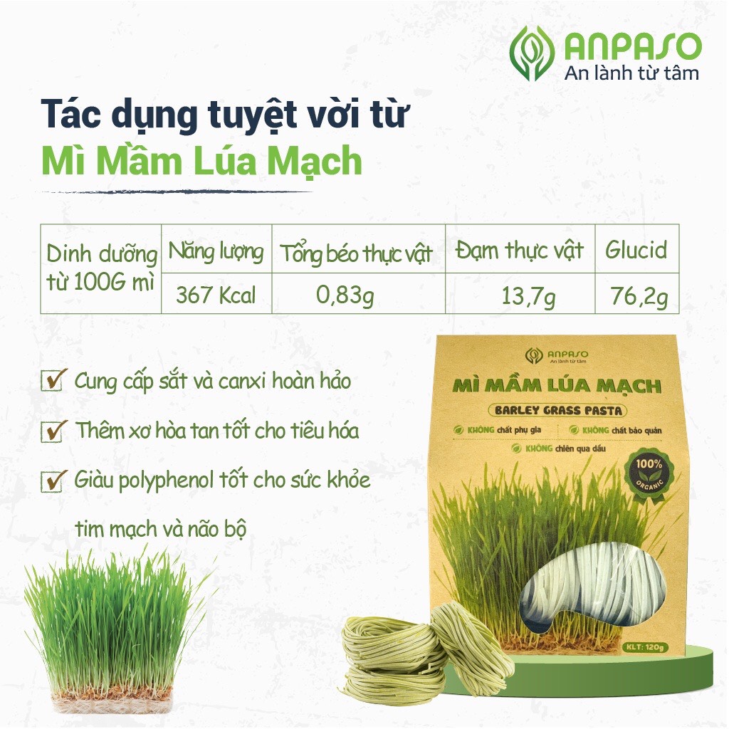 Mì Mầm Lúa Mạch Organic Anpaso 120g