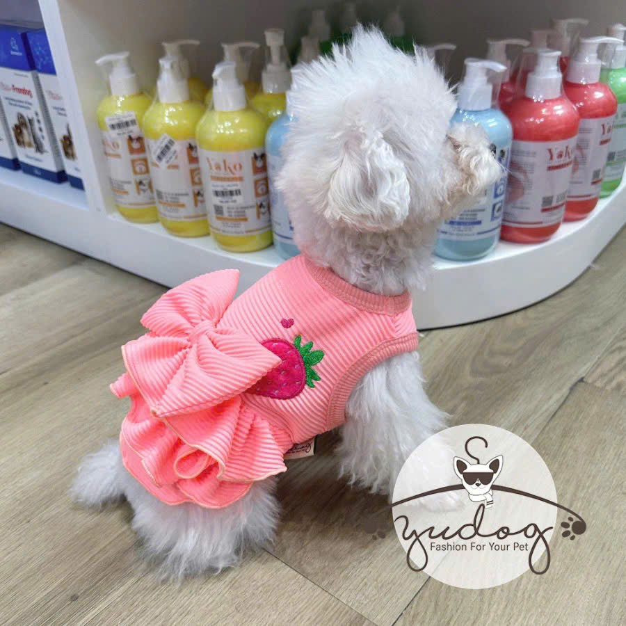 ĐẦM THUN PHỐI BÈO DỄ THƯƠNG CHO THÚ CƯNG CHÓ MÈO