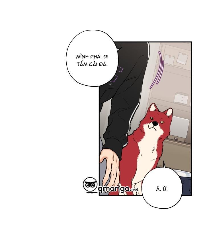 gâu gâu! chapter 19 22