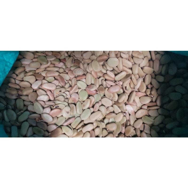 500 gram hạt keo gai
