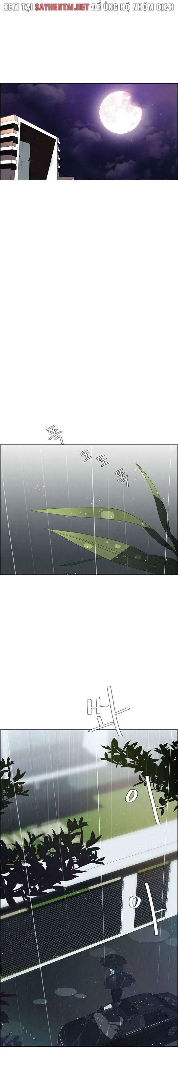 màn mưa chapter 49 2